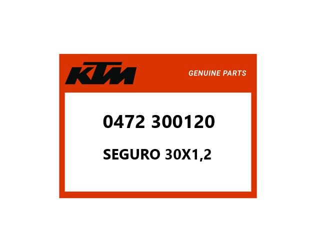 SEGURO 30X1,2 0472 300120