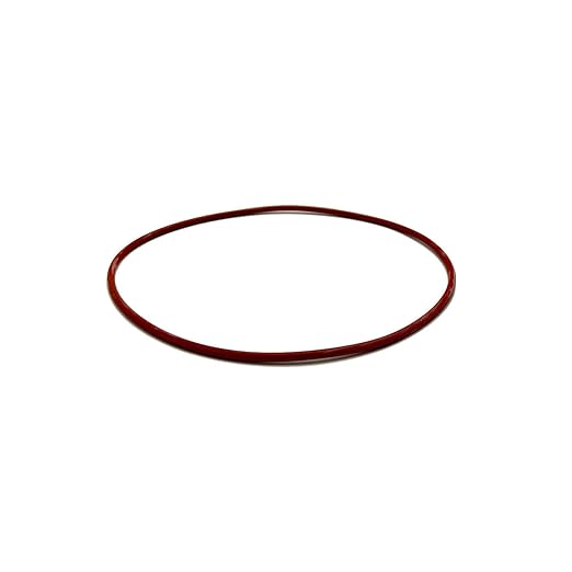 O-RING