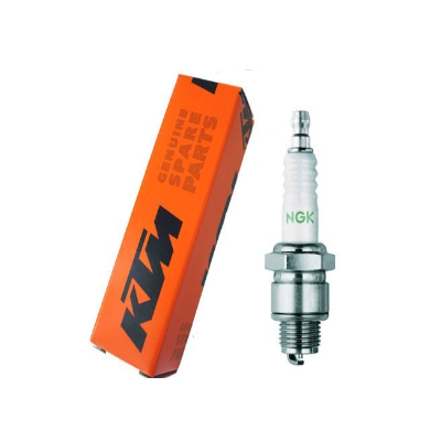 BUJIA NGK R6918B-8