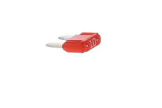 FUSE,IGN.10 AMP,(10) MX