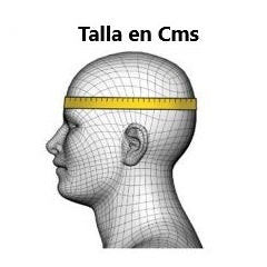 Casco Husqvarna Moto 9 Flex Railed Helmet