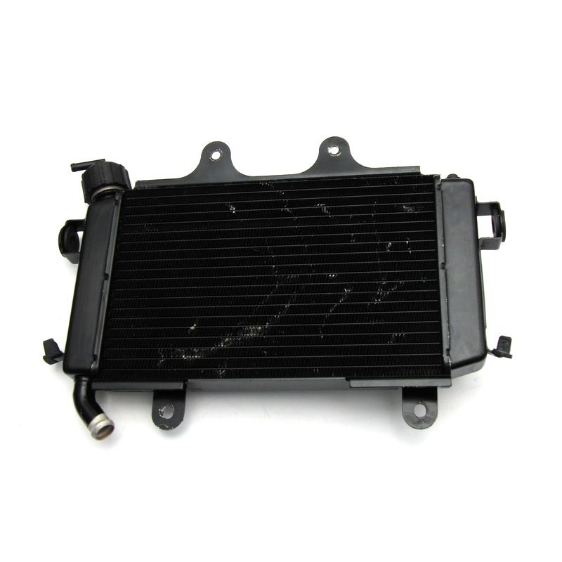 RADIADOR CPL. CON VENTILADOR DUKE 125/200 - 2011/2015
